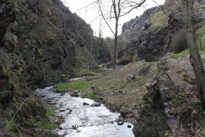 IMG_0253.JPG