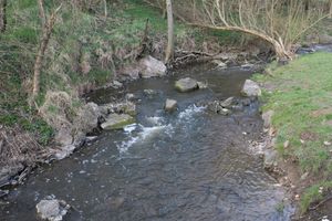 IMG_0251.JPG