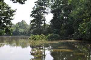 DSC_0025.JPG