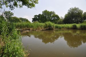 DSC_0043.JPG