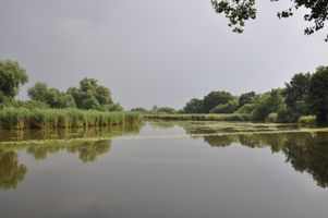 DSC_0074.JPG