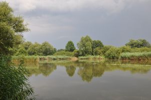 DSC_0075.JPG