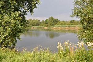 DSC_0077.JPG