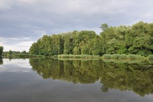 DSC_0209.JPG