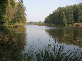 IMG_4155.JPG