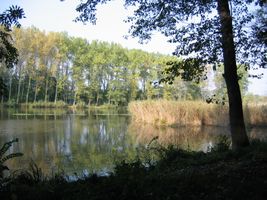 IMG_4159.JPG