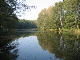 IMG_4167.JPG