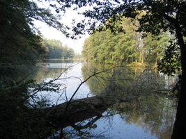 IMG_4163.JPG