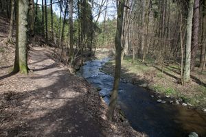 _MG_7667.JPG