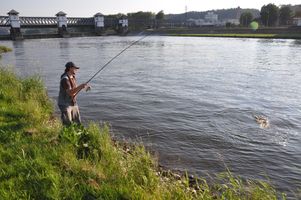 DSC_0066.JPG