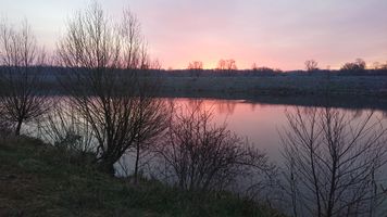 DSC_7462.JPG