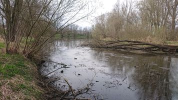 DSC_7439.JPG