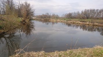 DSC_7440.JPG