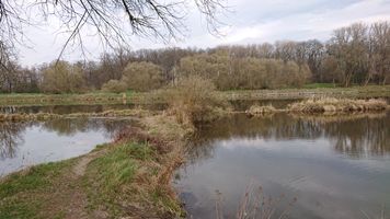 DSC_7446.JPG