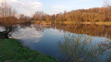 DSC_7486.JPG