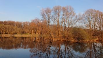DSC_7487.JPG