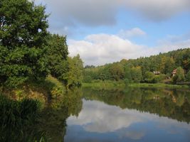 IMG_2601.JPG
