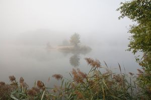 _MG_3198.jpg
