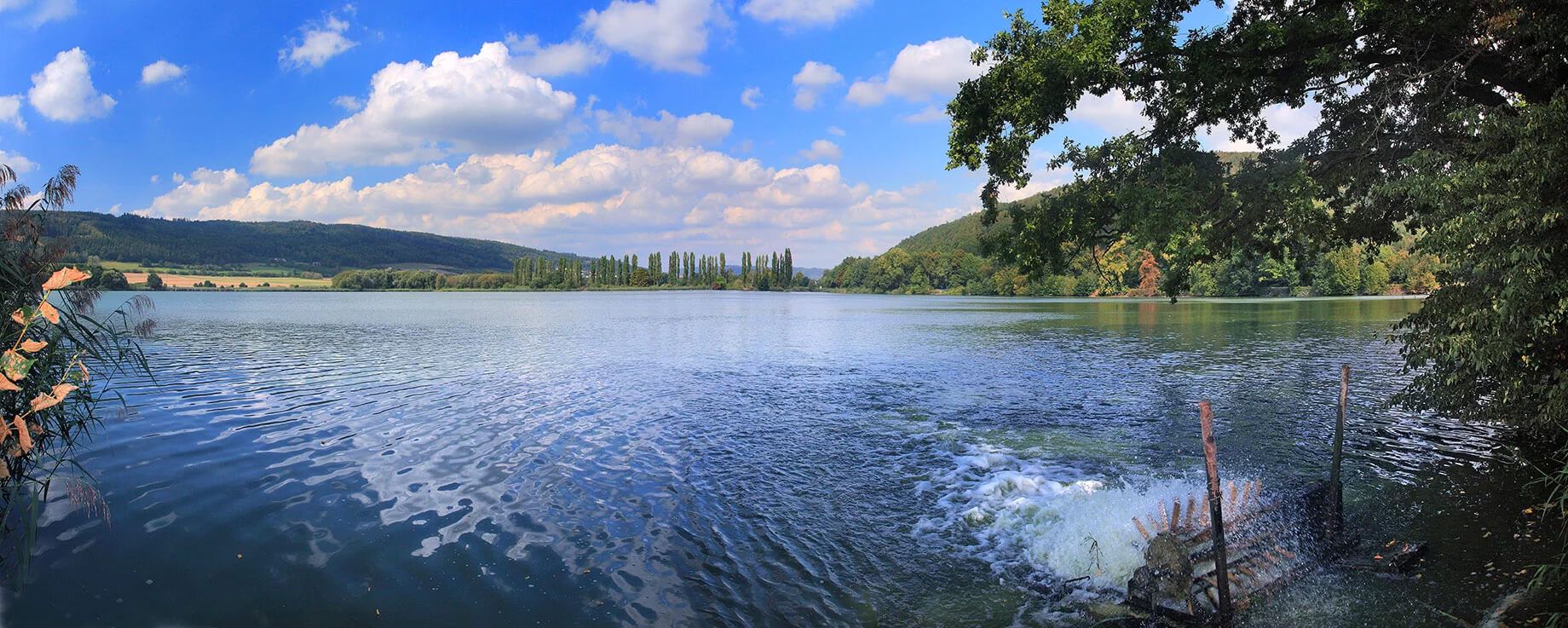 Český rybářský svaz, z. s. Jihočeský územní svaz