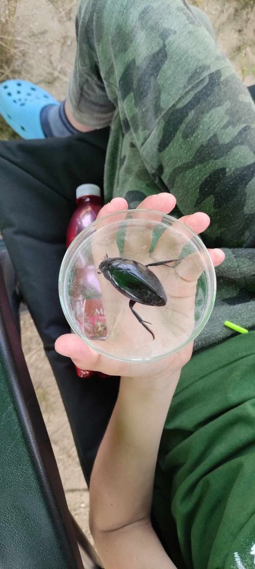 cf2cb92a-bdab-4ce3-9d3a-5a894c38b6d0